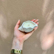 Load image into Gallery viewer, Bougie coquillage