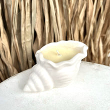 Load image into Gallery viewer, Bougie coquillage